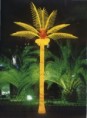 /album/photogallery/coconut-tree-jpg/